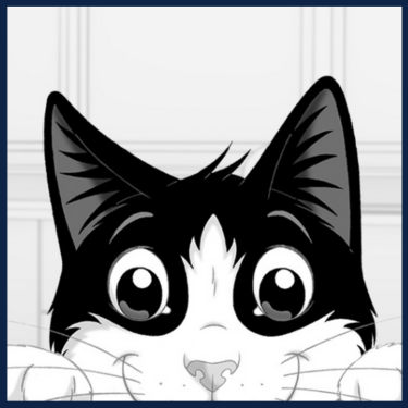 Felix - black and white cat in the kitchen