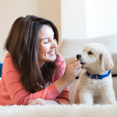 Boy playing with puppy at home.
