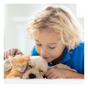 little boy with kitten and puppy