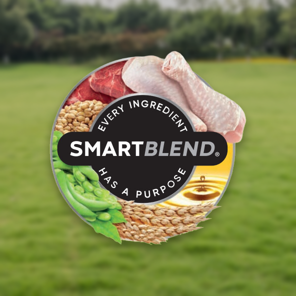 Smartblend