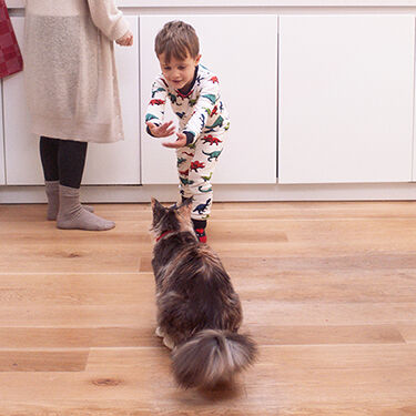Little boy talking to his cat