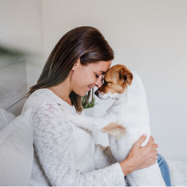 Boy playing with puppy at home.