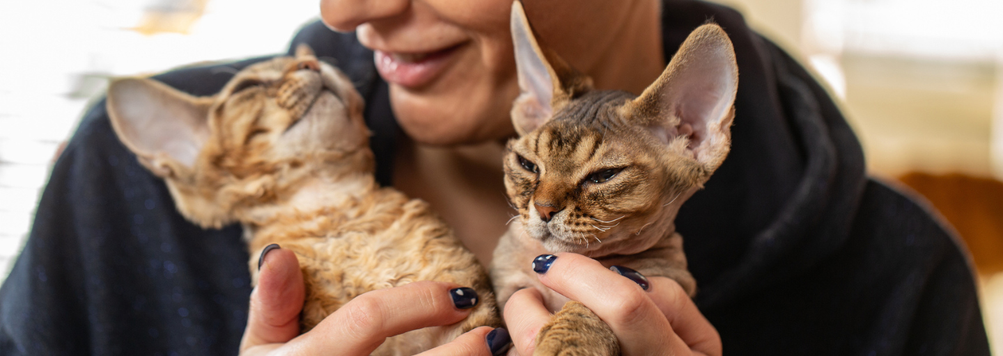 Woman holding two kittens together