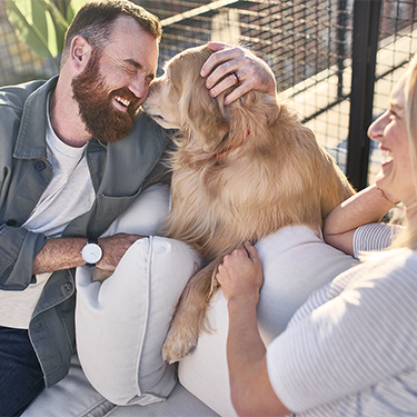 A cheerful couple enjoying quality time with their golden retriever on a cozy outdoor couch, surrounded by natural light and warm smiles.