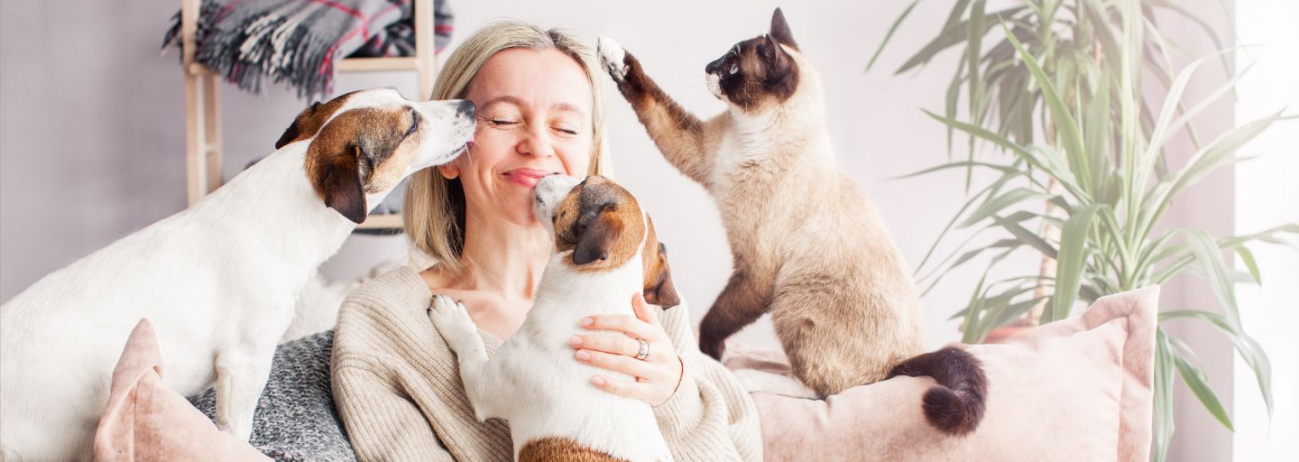 Dogs and a Cat sitting with owner playing
