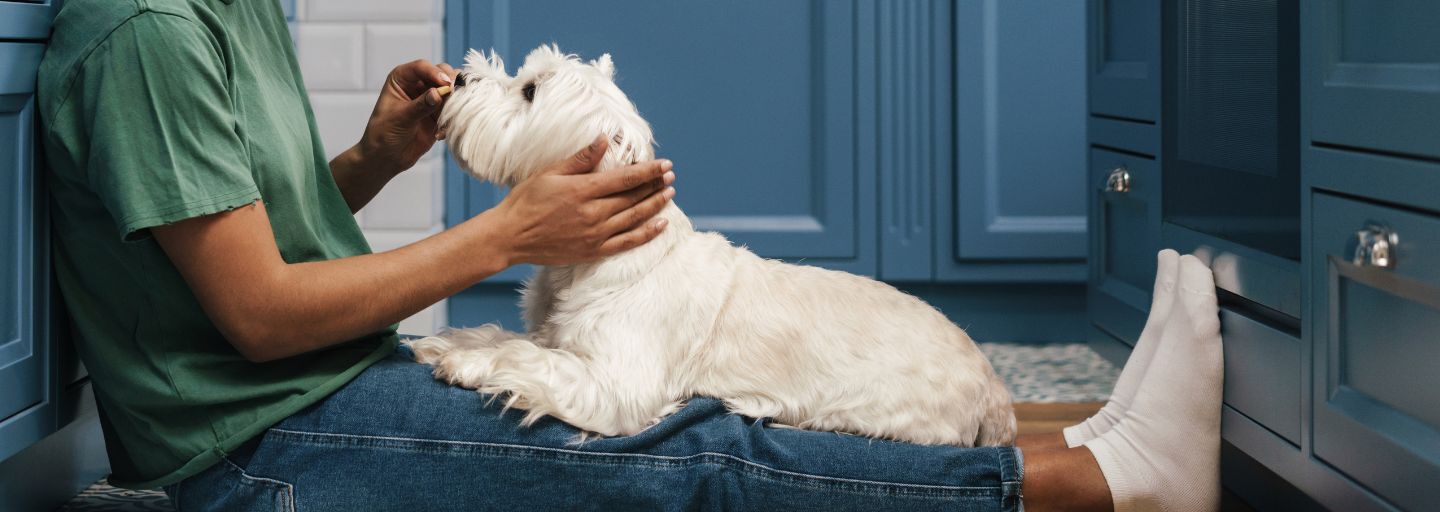 Owner and dog sitting in kitchen together, owner giving a treat
