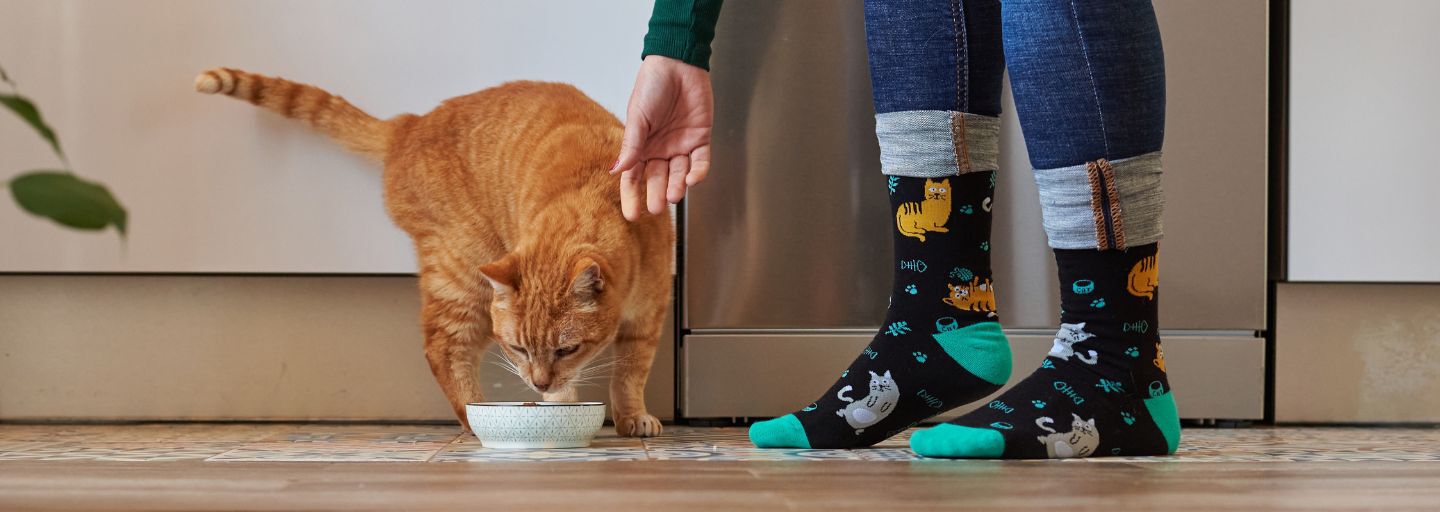 Unrecognizable woman wearing socks and feeding her cat in the kitchen.