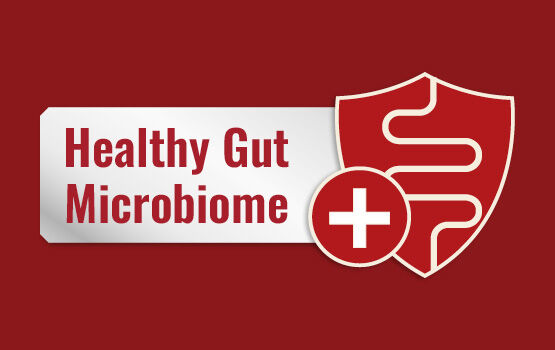 Healthy gut microbiome image