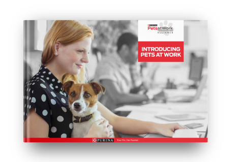 woman working with dog on her lap