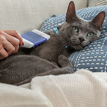 Total Care - View Grooming