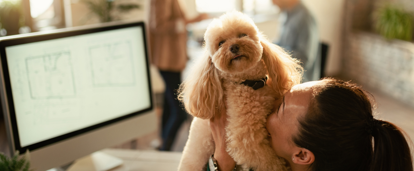 woman kissing dog while working