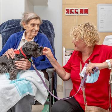 Delta therapy dog in a hospital