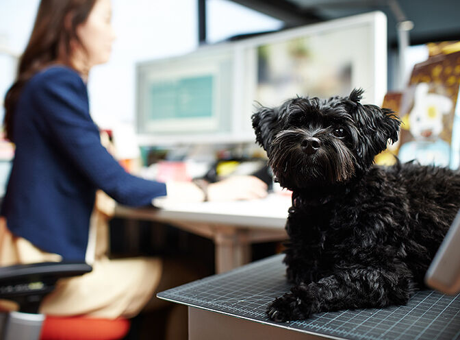 dog in the office with a blurred employee in the background