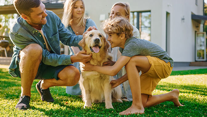 family patting their dog