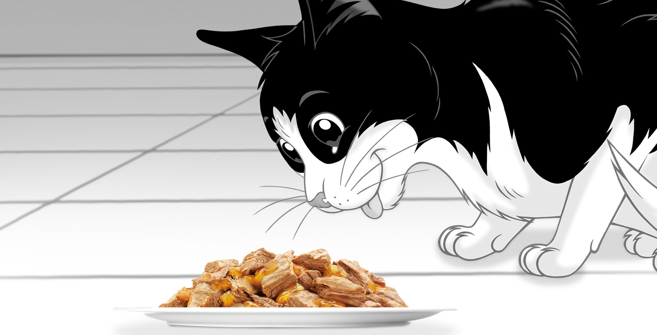 Felix - black and white cat staring at food and ready to eat