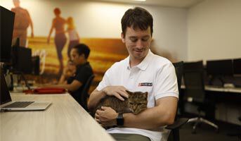Purina staff member sitting at a desk, smiling while holding a relaxed tabby cat in an office setting.