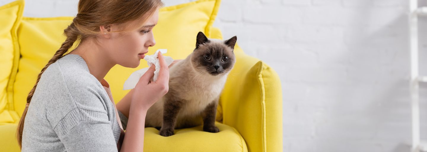 Lady and Cat Sitting Together. Lady Holding Tissue