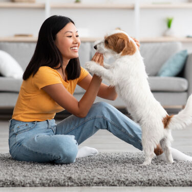 Boy playing with puppy at home.