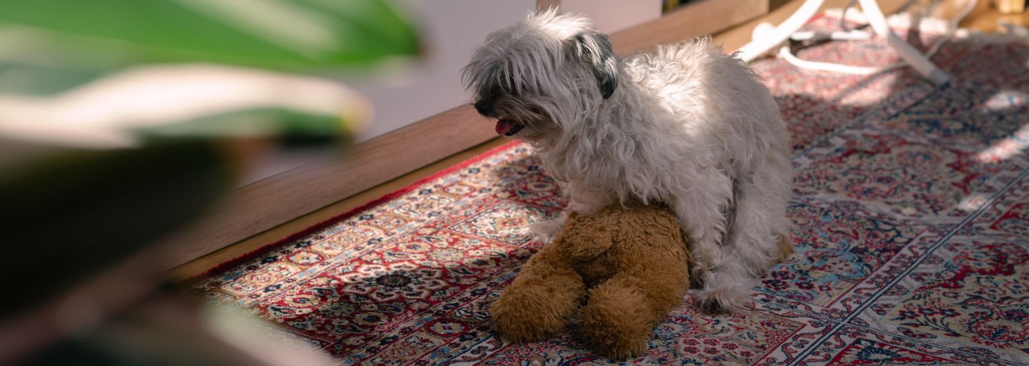 Humping Explained