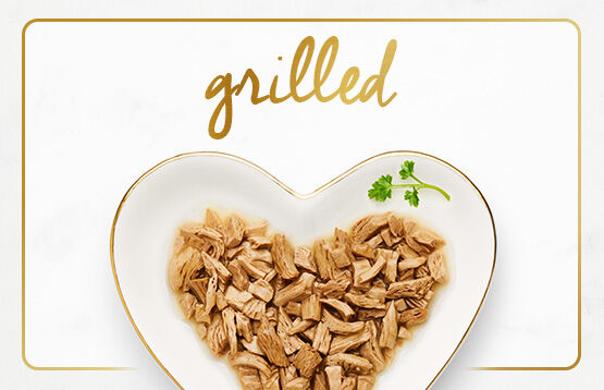 Fancy Feast Grilled product on a plate