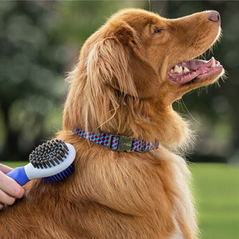 Total Care - View Grooming