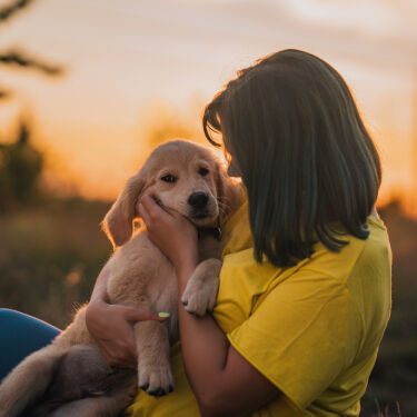Boy playing with puppy at home.