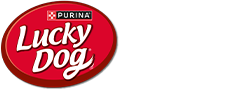 Lucky Dog Logo