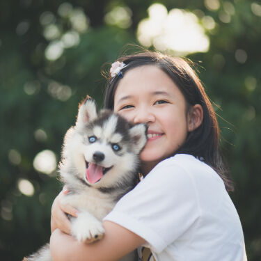 Boy playing with puppy at home.