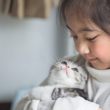 Little girl holding cat closely.