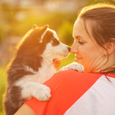 Boy playing with puppy at home.