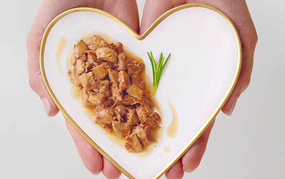 Fancy Feast - heart shaped plate with cat food on it