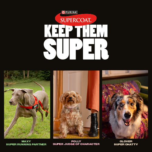 Supercoat Keep Them Super