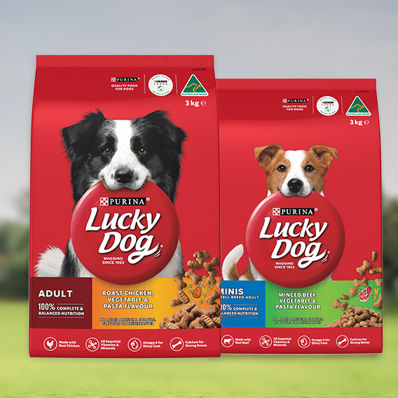Lucky Dog products on a blurred background