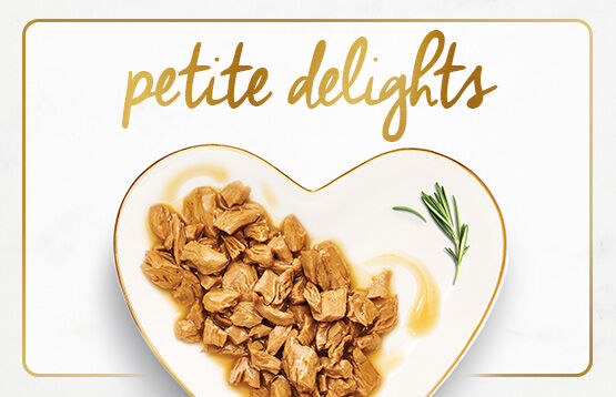 Fancy Feast Petitie Delights on a plate