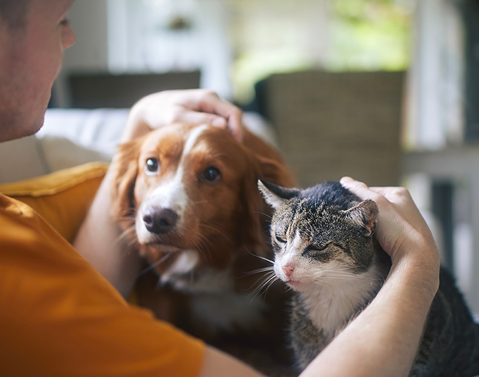 Man with his cat and dog