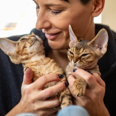 Woman holding two kittens together