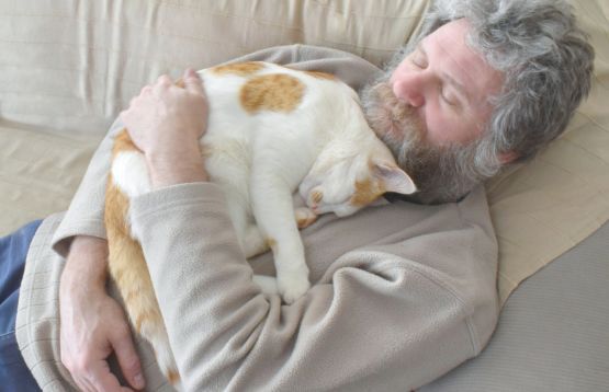 cat sleeping on man