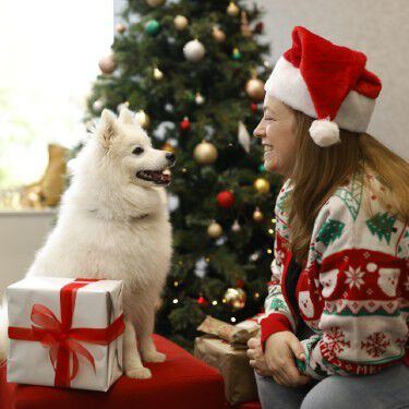 Purina staff member with her dog dressed in a Christmas outfit