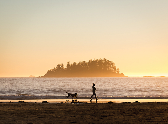 woman and dog at the beach during sunset