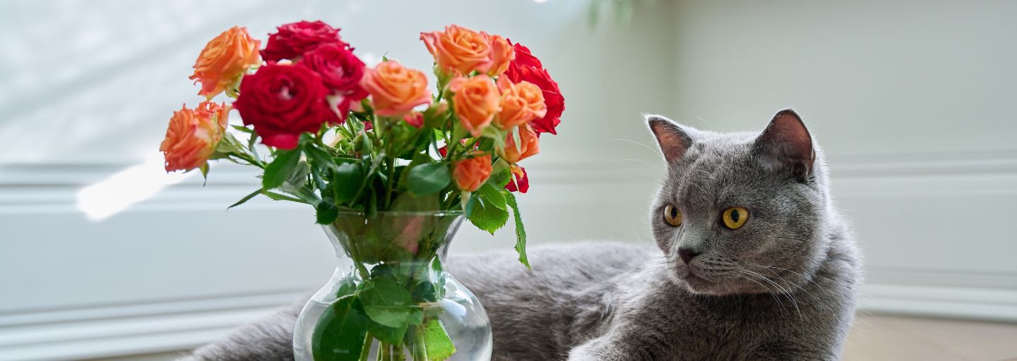 Relaxed cat lying on table with bouquet of flowers in vase.