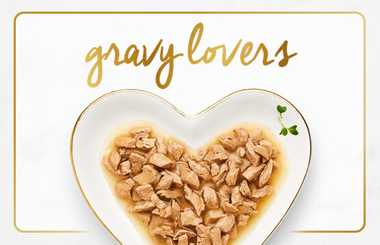 Plate of Fancy Feast gravy lovers cat food