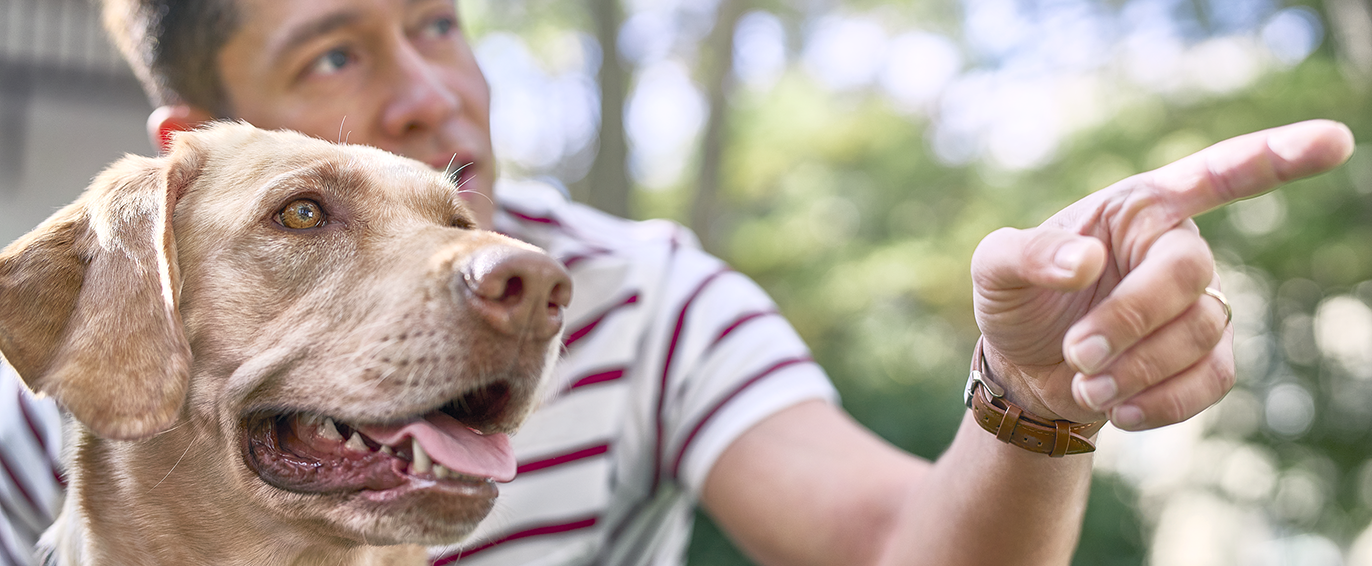 dog with blurred male owner in the background pointing towards something
