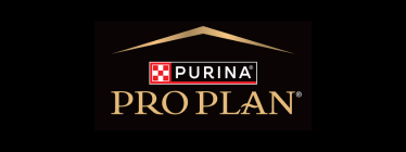 pro plan logo