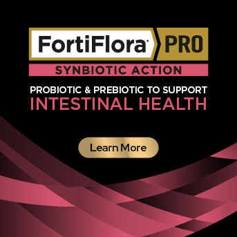 PRO PLAN Veterinary Diets - Intestinal Health