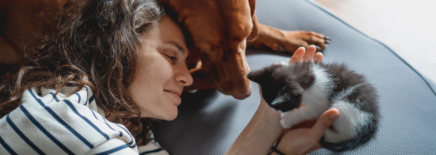 Owner, dog and kitten all sitting happily together 