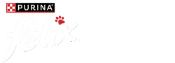 Felix Logo