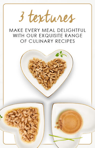 3 textures of the Fancy Feast range