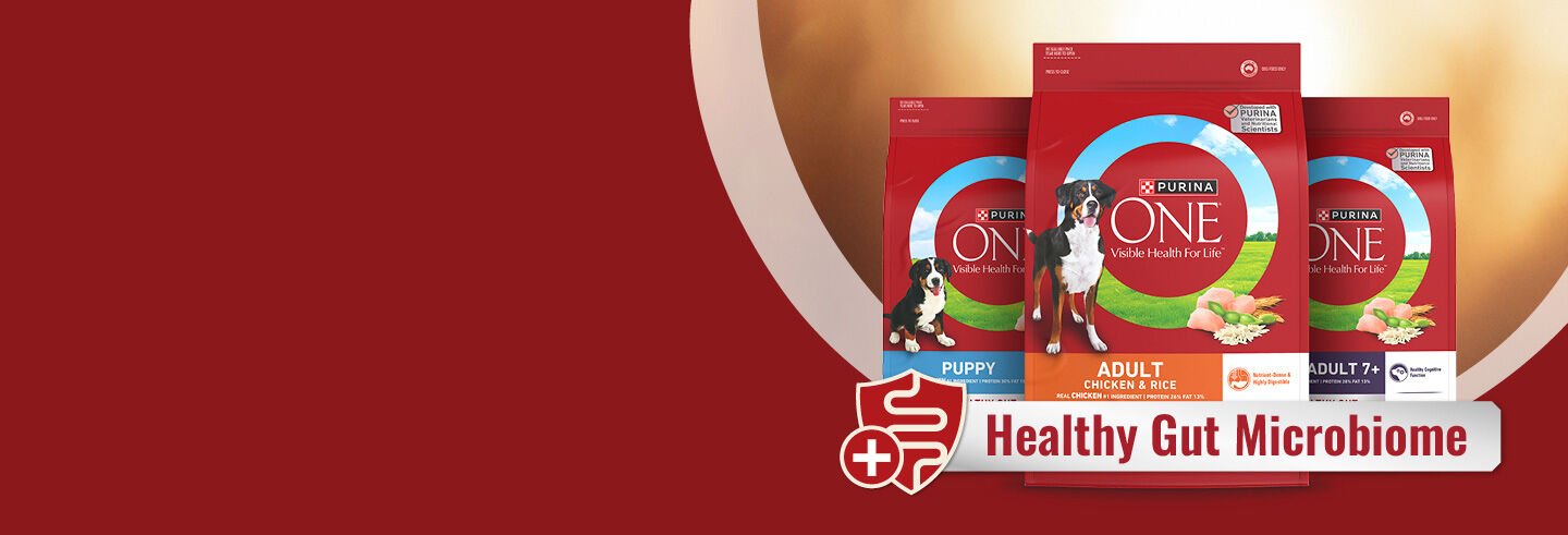Purina One product lineup: Puppy, Adult Chicken & Rice, and Adult 7+ dog food, with a 'Healthy Gut Microbiome' message.