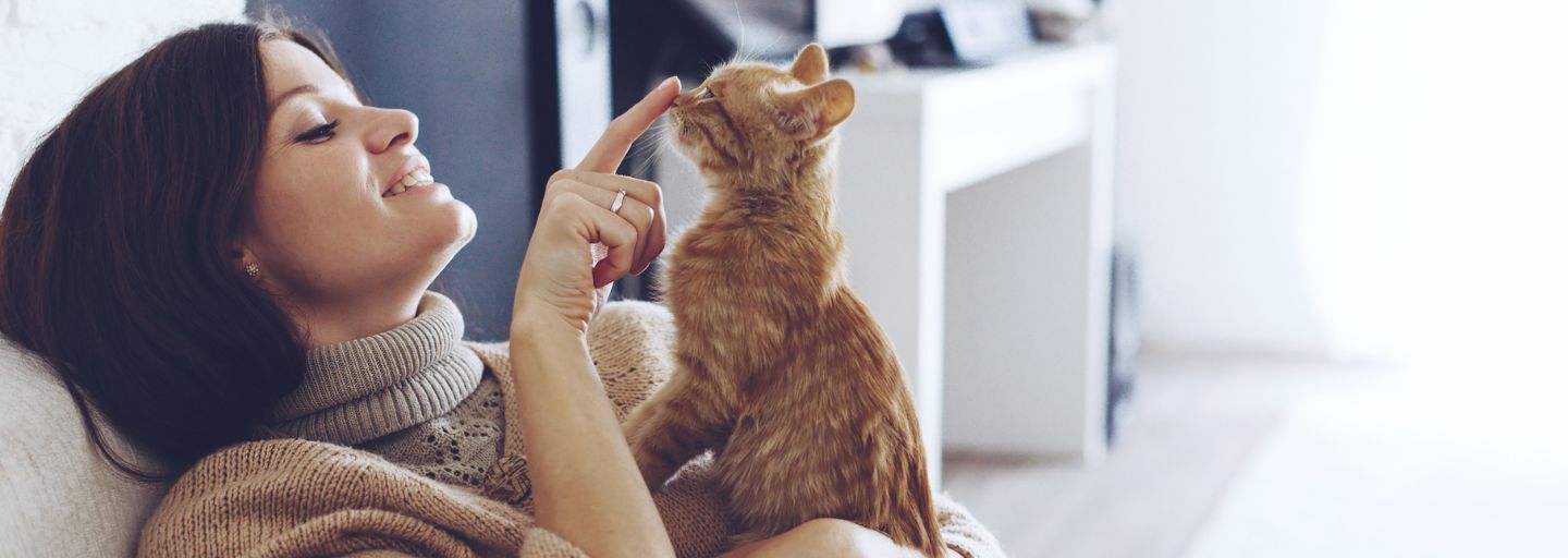 Cat Owner Playing with Adult Cat