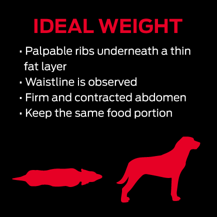 Supercoat - ideal weight graphic for dogs